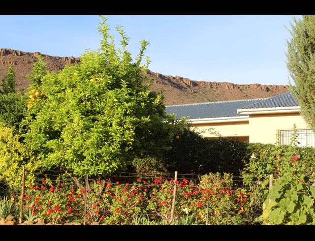 3,107HA FARM FOR SALE IN CALVINIA RURAL